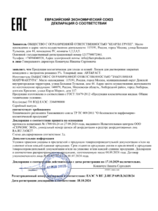 ЕАЭС N RU Д-RU.РА09.В.36338.24 FACT900169-R1