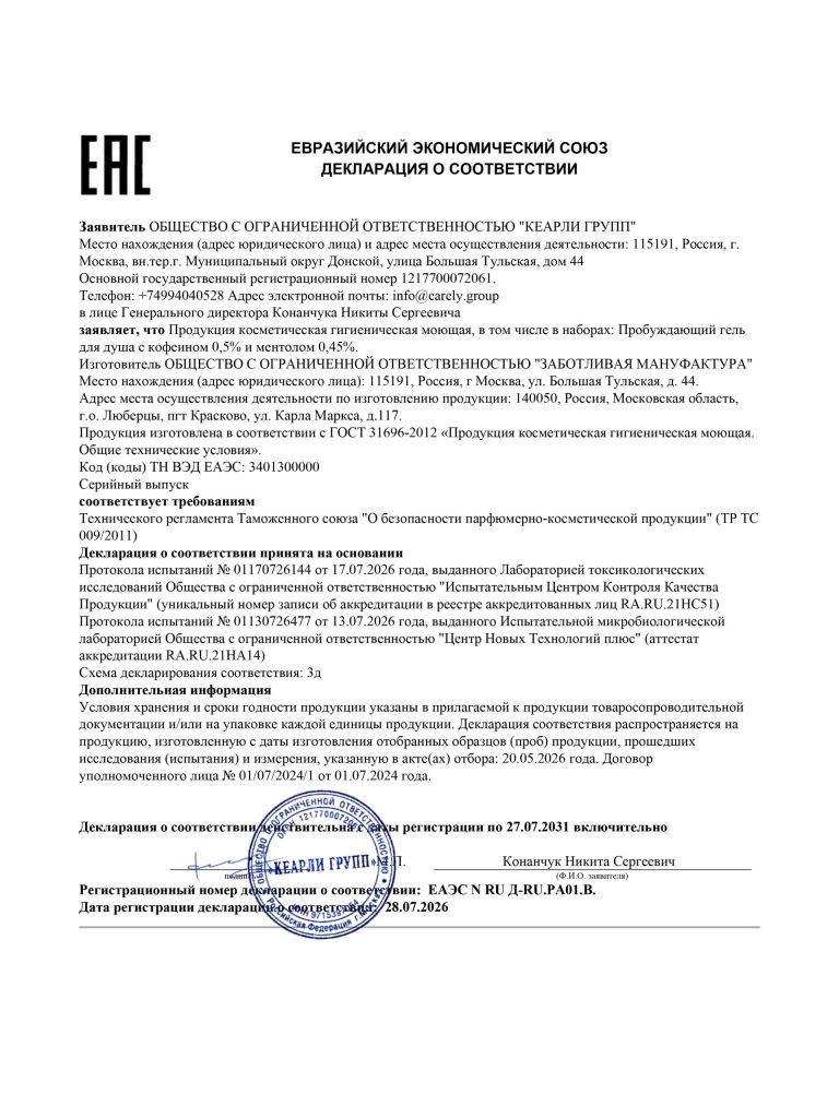 100781-305556-Макет-ДС-ТР-ЕАЭС-1-scaled-1.jpg