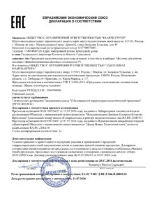 100852 295491 Макет ДС ТР ЕАЭС1-1