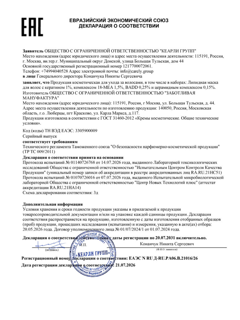 100841 295502 Макет ДС ТР ЕАЭС1-1